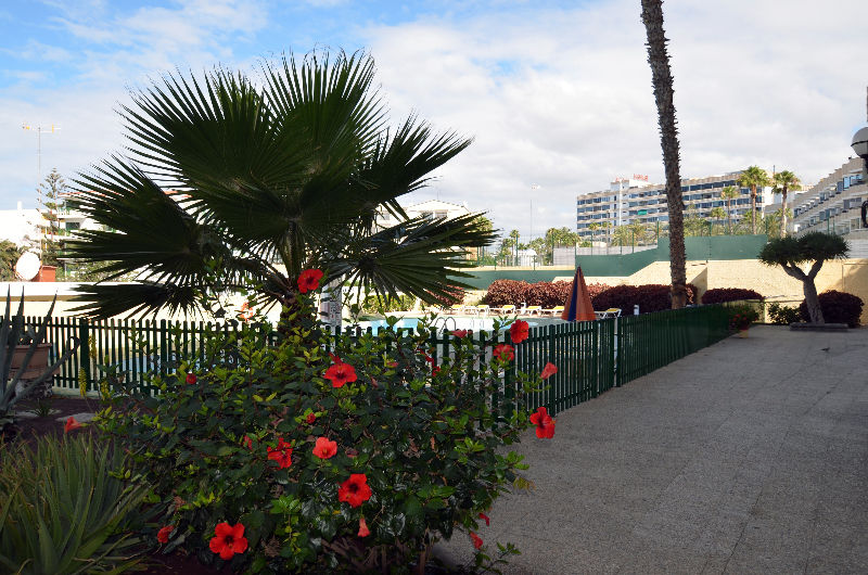 Apartamentos Los Juncos I Playa del Inglés Exterior foto